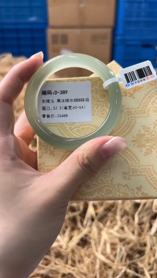未镶嵌手镯石英质玉D-389