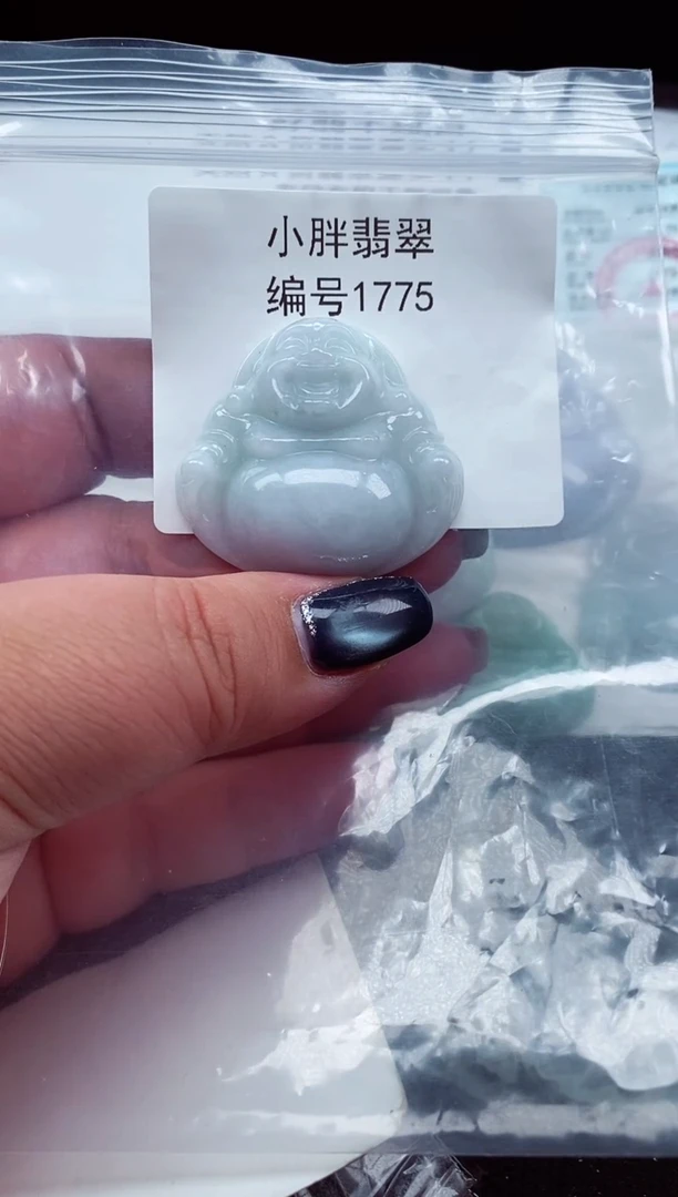 颈饰未镶嵌翡翠缅甸天然A货翡翠1775