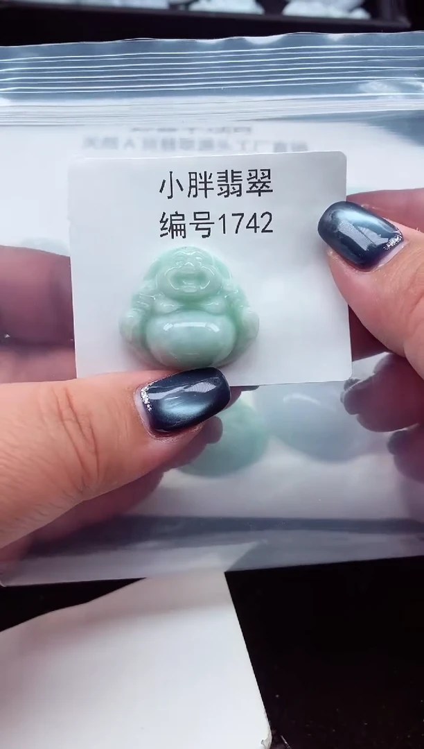 颈饰未镶嵌翡翠缅甸天然A货翡翠1742