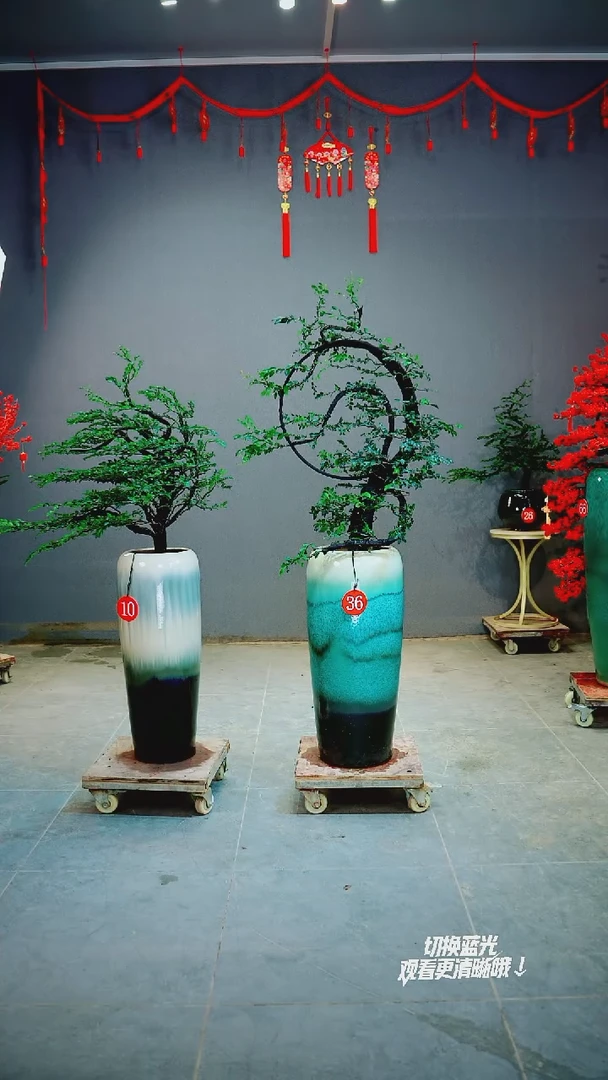 以实际为准知****生10号36号一物一拍绿植