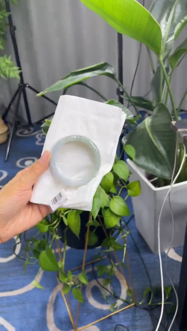 未镶嵌手镯翡翠6036