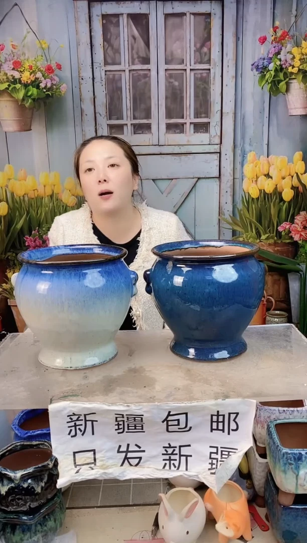 026白蓝小耳收底两个装  口18高19