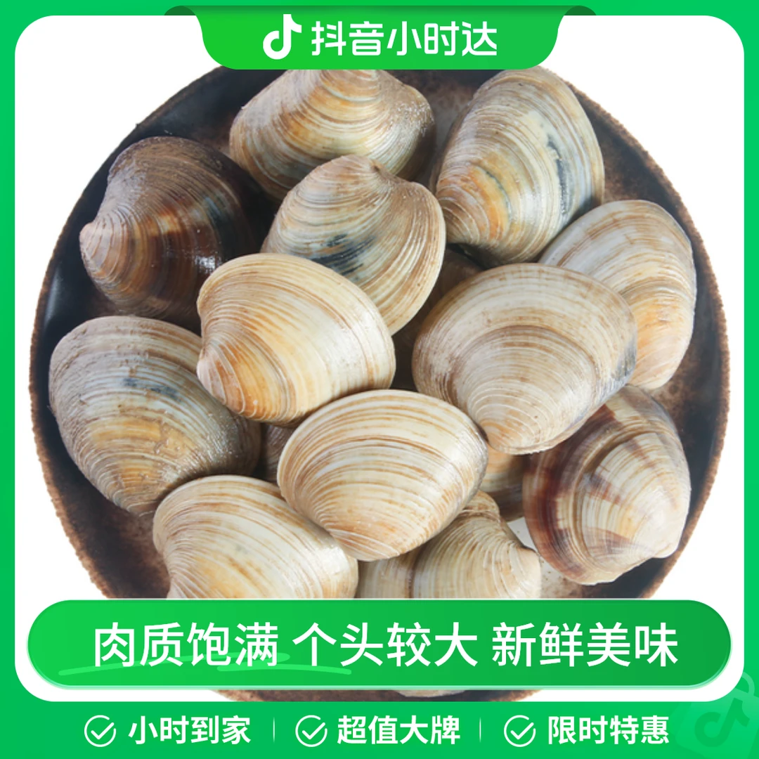 鲜活文蛤（散称） 400g