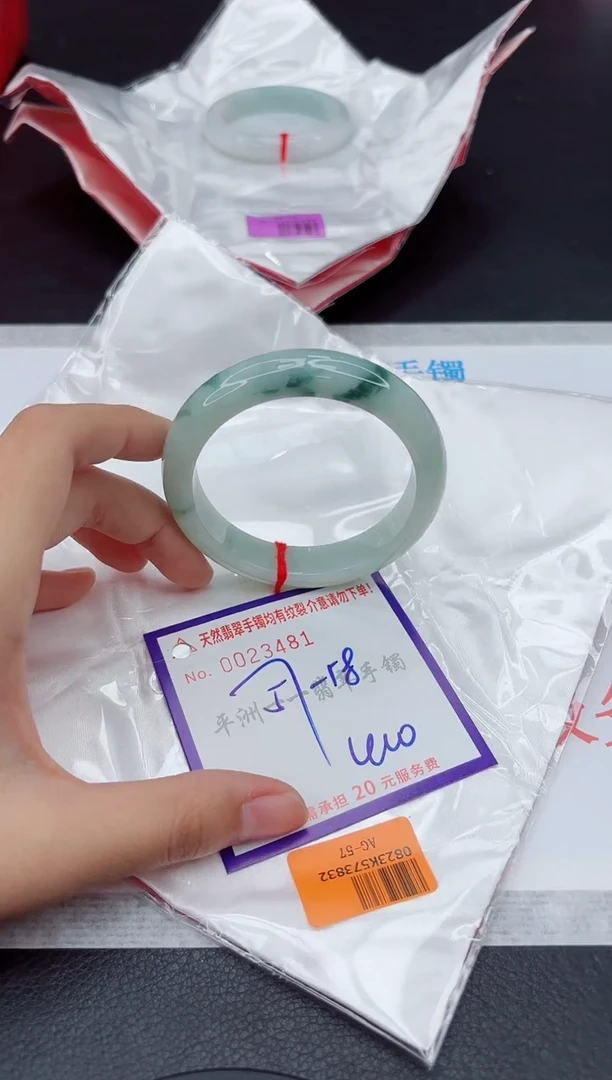 未镶嵌手镯翡翠1111111