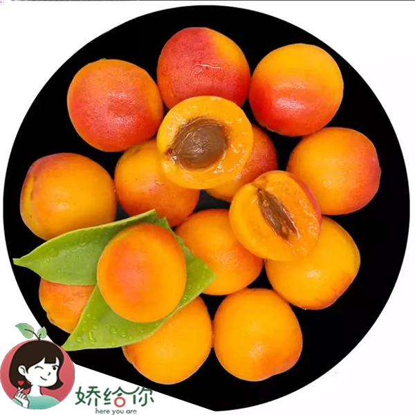 【顺丰包邮】新疆吊干杏小红杏鲜果3斤装当季 膳食纤维