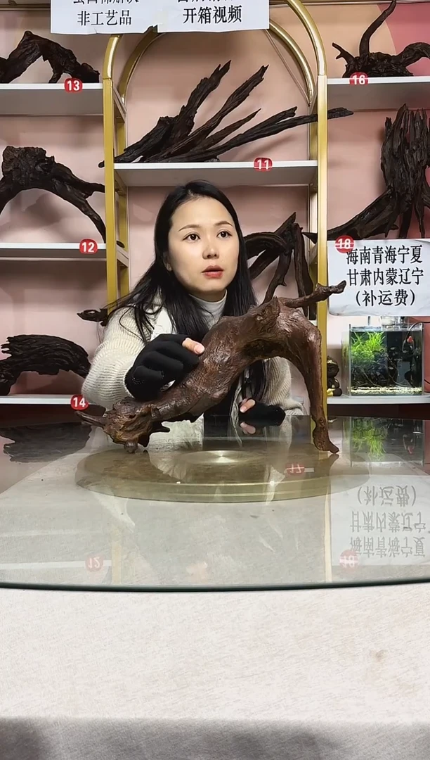 稳***福鱼缸造景沉木A029