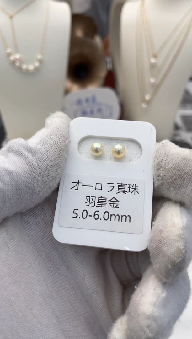 银S925镶嵌耳钉海水珍珠羽皇金耳钉5.0-6.0mm