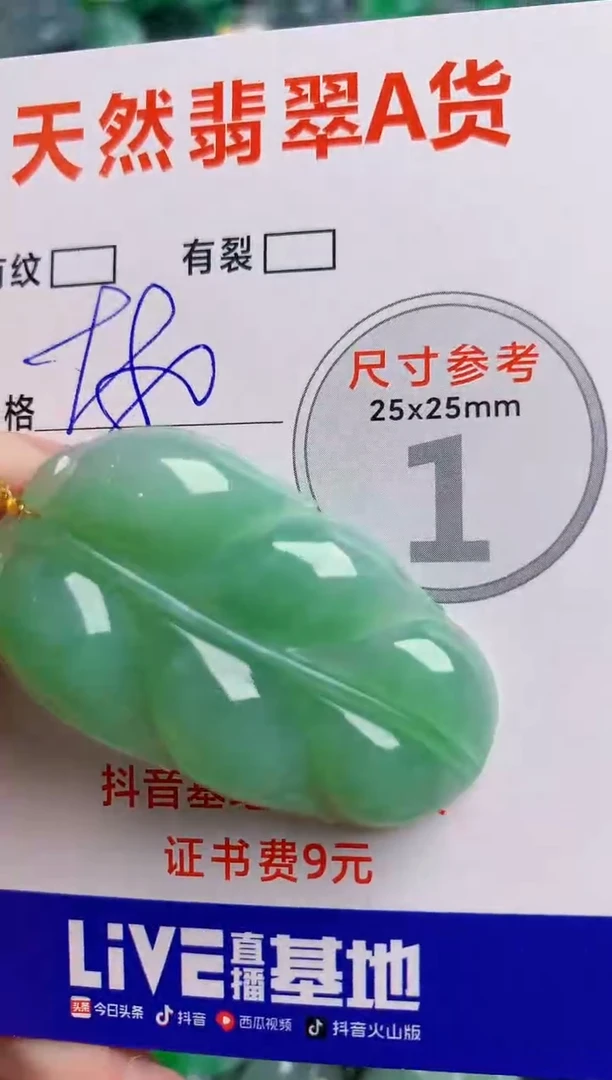 翡翠18K金镶嵌颈饰1052789117