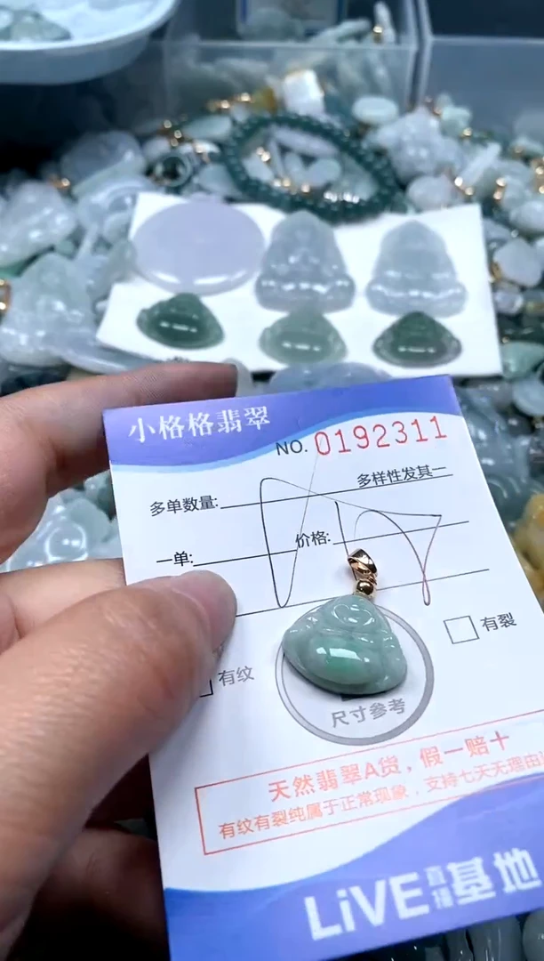 【闪购商品】翡翠颈饰未镶嵌闪购商品0192311