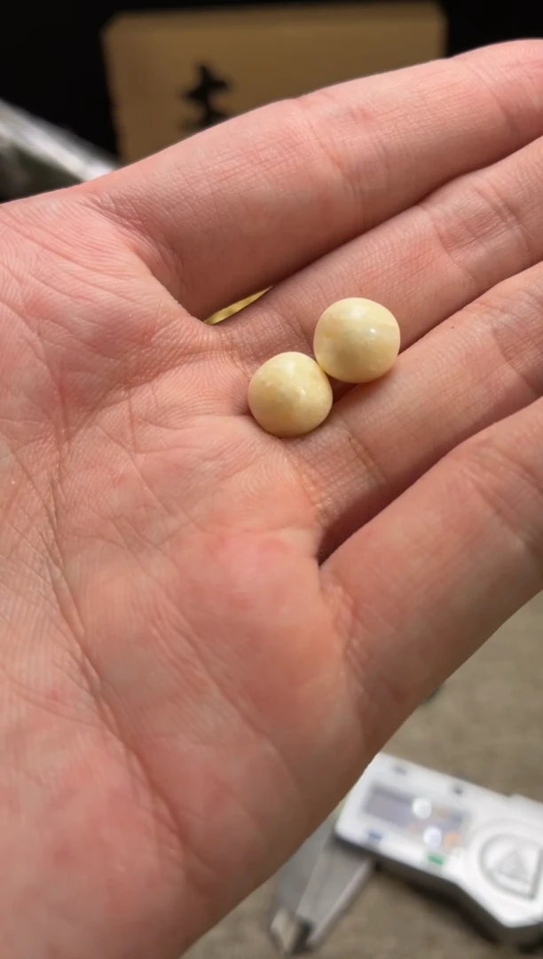 手串/手链/手镯猛犸象牙QD31满脑带肉T1单籽9*8mm