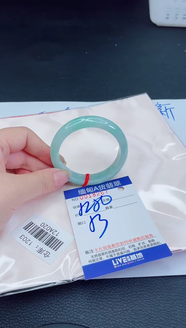未镶嵌手镯翡翠我t1