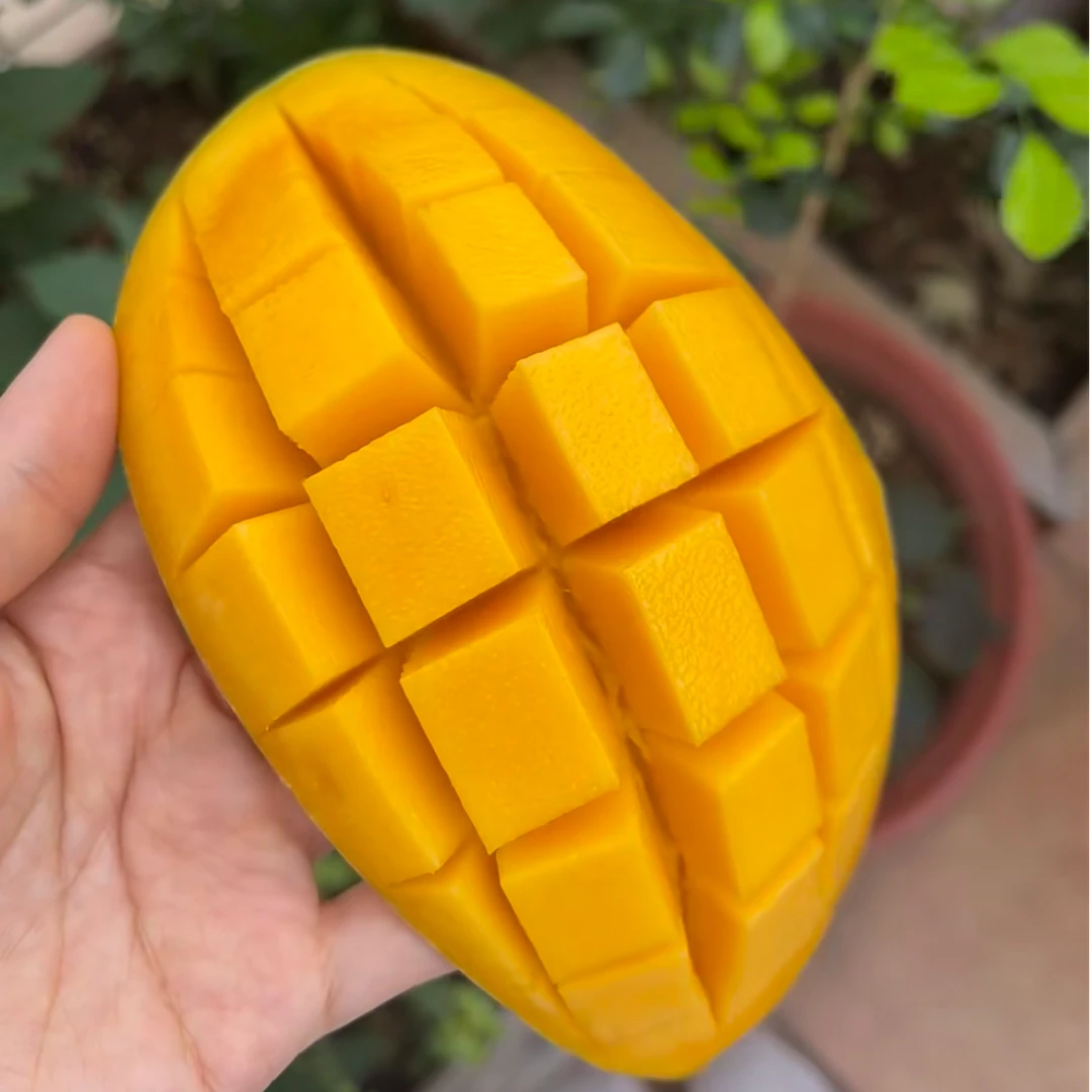 【鲜果直发】正宗金煌芒果香甜多汁新鲜热带水果