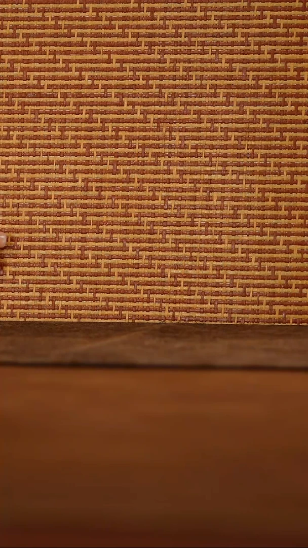 月亮好物  推荐@@th559