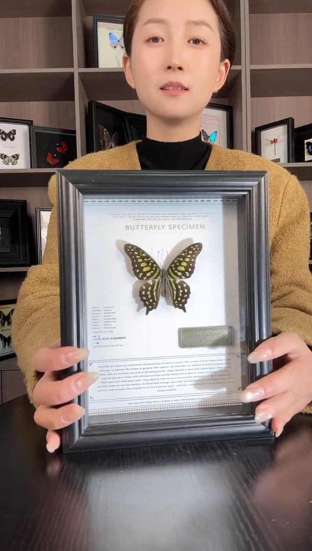 实木竖款统帅青凤蝶（蝴蝶装饰画7寸框）