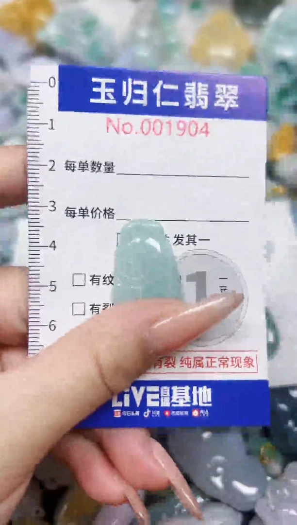 颈饰未镶嵌翡翠155