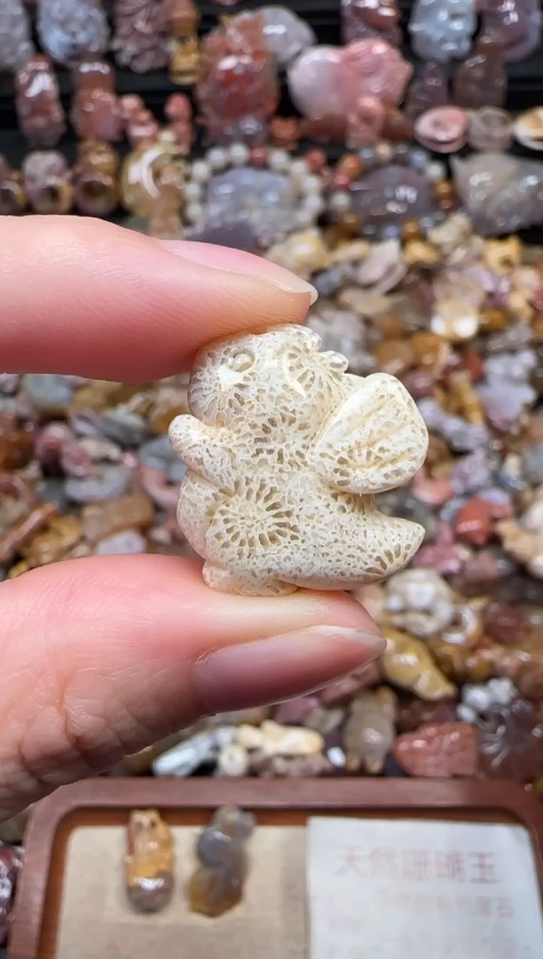 颈饰未镶嵌硅化珊瑚（珊瑚玉）683