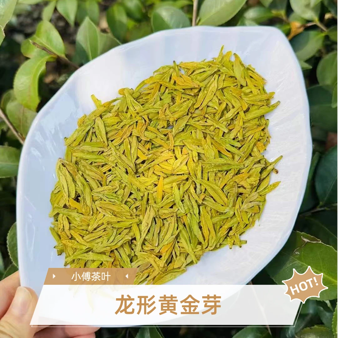 明前龙形黄金芽 高豆香    2025新茶高山头采 - 3