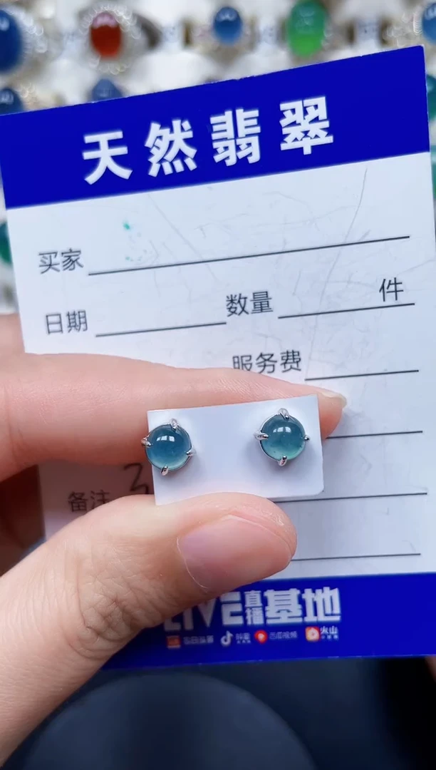 银S925镶嵌翡翠耳饰361