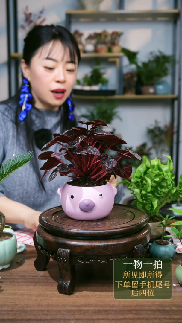 【闪购商品】52--2114红宝石粉