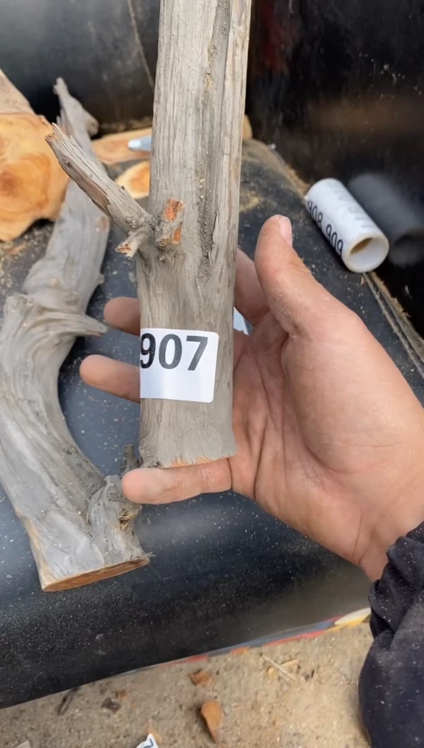 柏木（崖柏）太行陈华崖柏切片！随机（1单1片）907