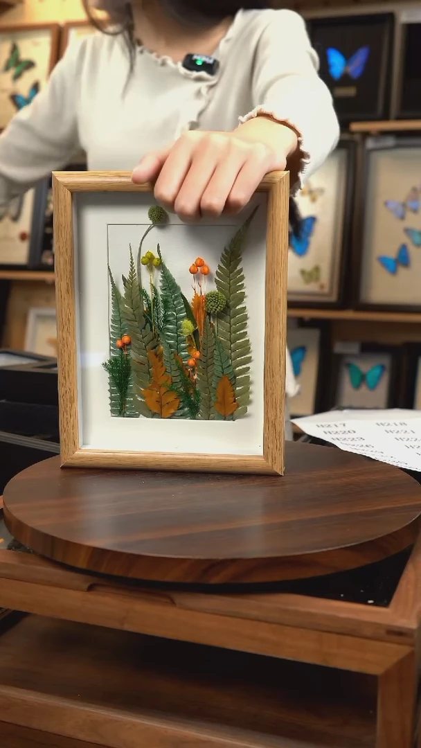 干制植物标本摆件春