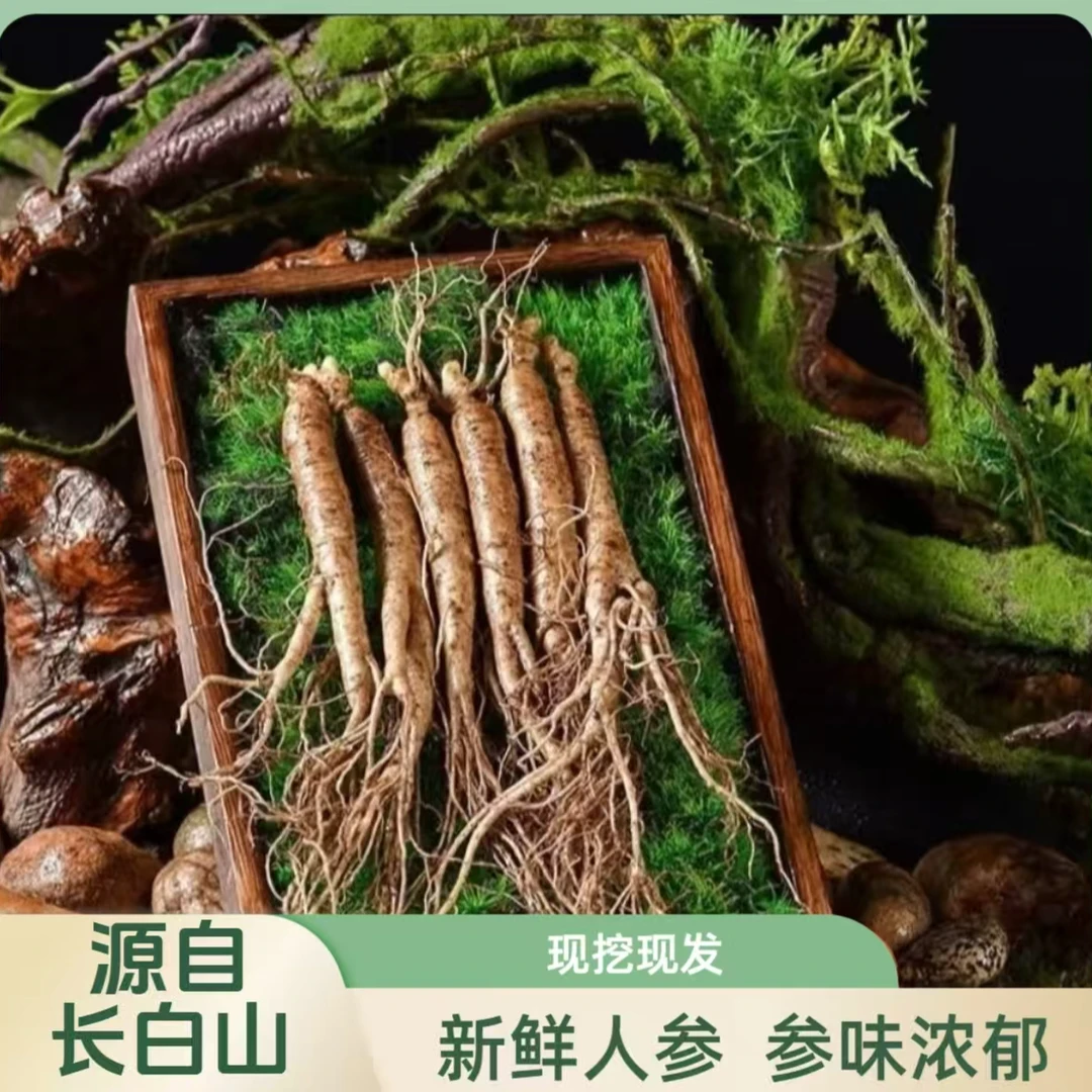 长白山鲜人参8-13g/支*20支 参味浓郁 现挖现发