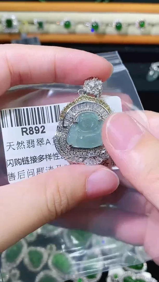 翡翠未镶嵌颈饰精美翡翠-多样性只发一件R892