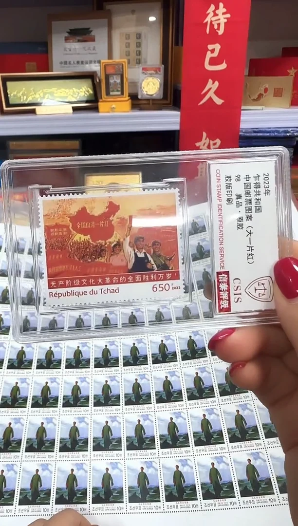 2023年 乍得共和国 （大一片红）98分信泰评级
