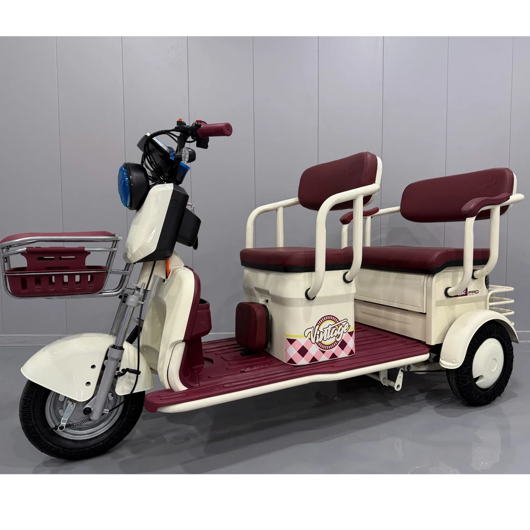 国彪电动休闲三轮代步车双排接送小孩女士亲子老年人代步轻便2