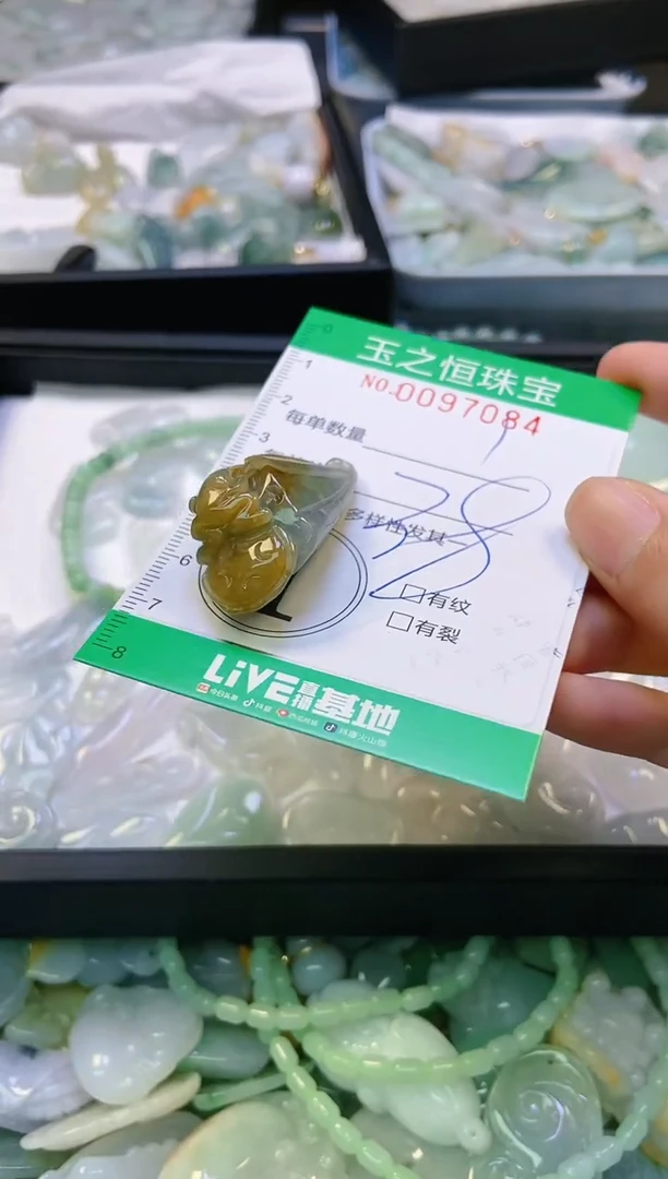 翡翠未镶嵌颈饰闪购0097084