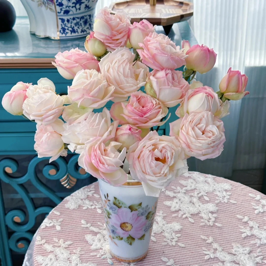 【小岛白】玫瑰家用鲜花/花束 云南鲜花基地直发