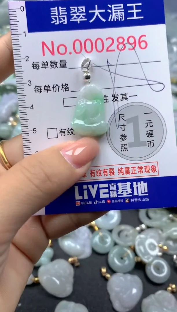 颈饰未镶嵌翡翠2896