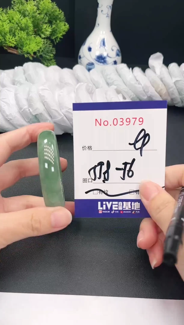 未镶嵌手镯翡翠3979