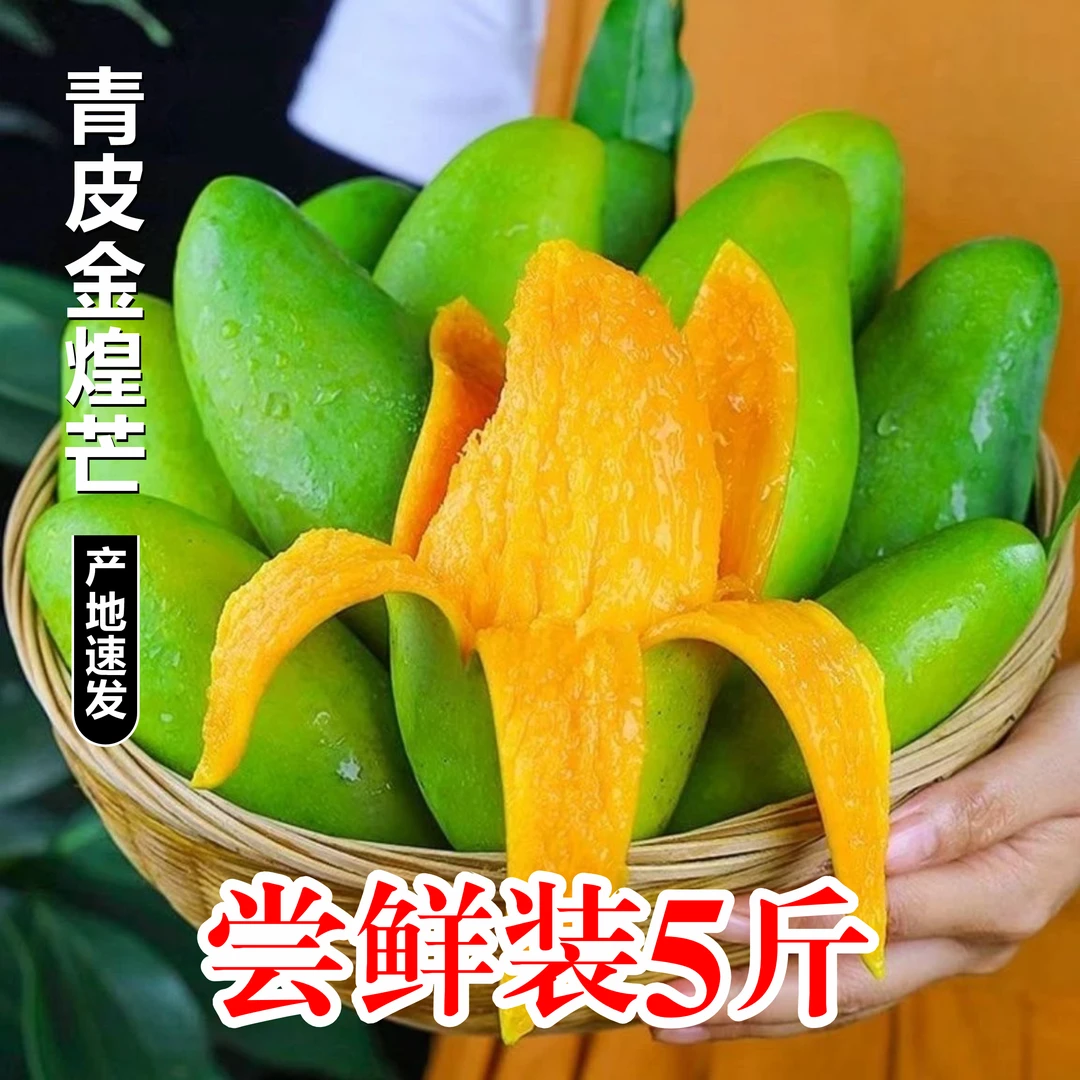 5斤尝鲜装大果【青皮金煌芒】产地直发爆汁水果公果个不大味超甜