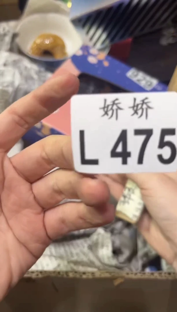 瓷片475Kelly.Jin
