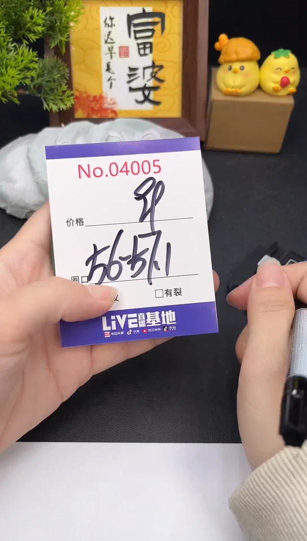 未镶嵌手镯翡翠4005