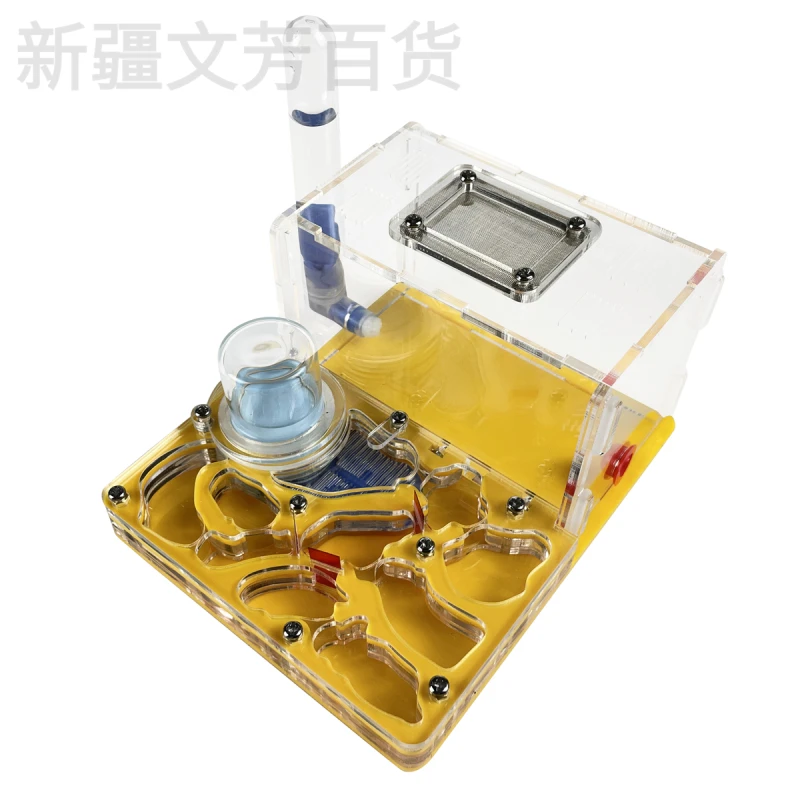 新疆包邮亚克力蚂蚁平面巢替代蚂蚁工坊蚁巢生态箱学生版宠物养殖