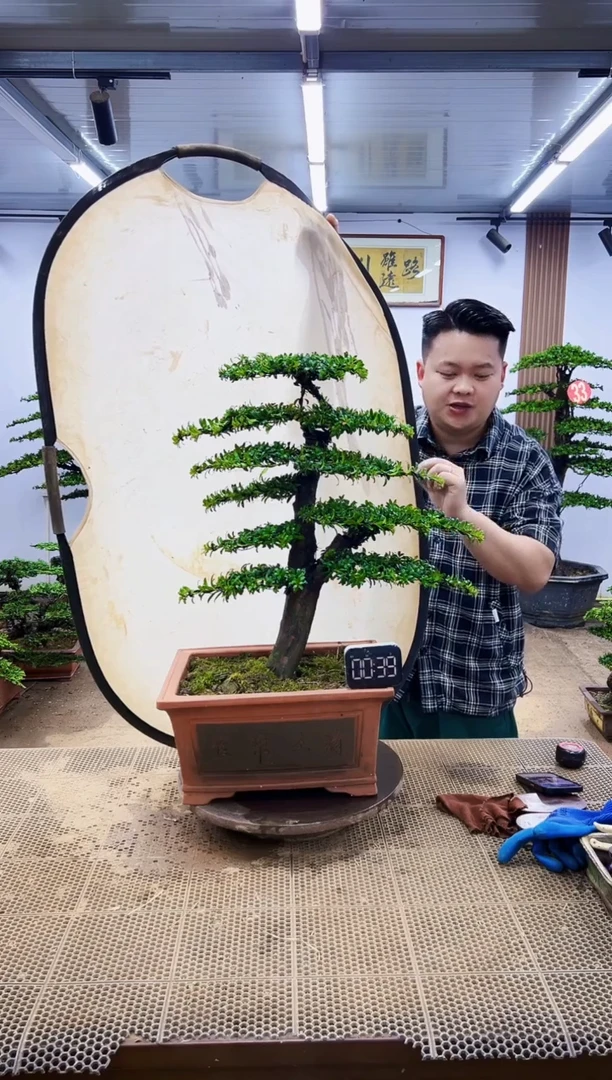 无花朵一物一拍，所见即所得