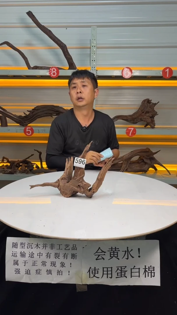 596料场直发 无上色打蜡 不需要煮 会黄水用蛋白棉