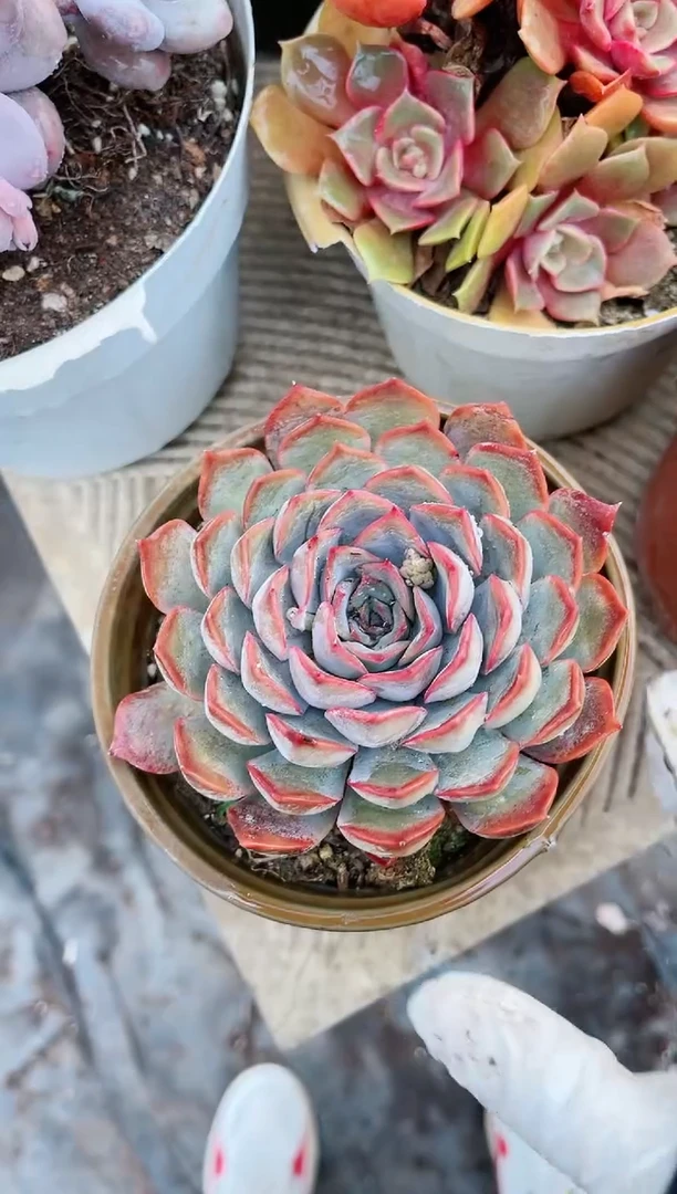 【闪购商品】20180