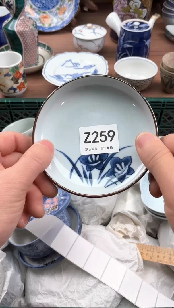 【闪购商品】瓷片259              