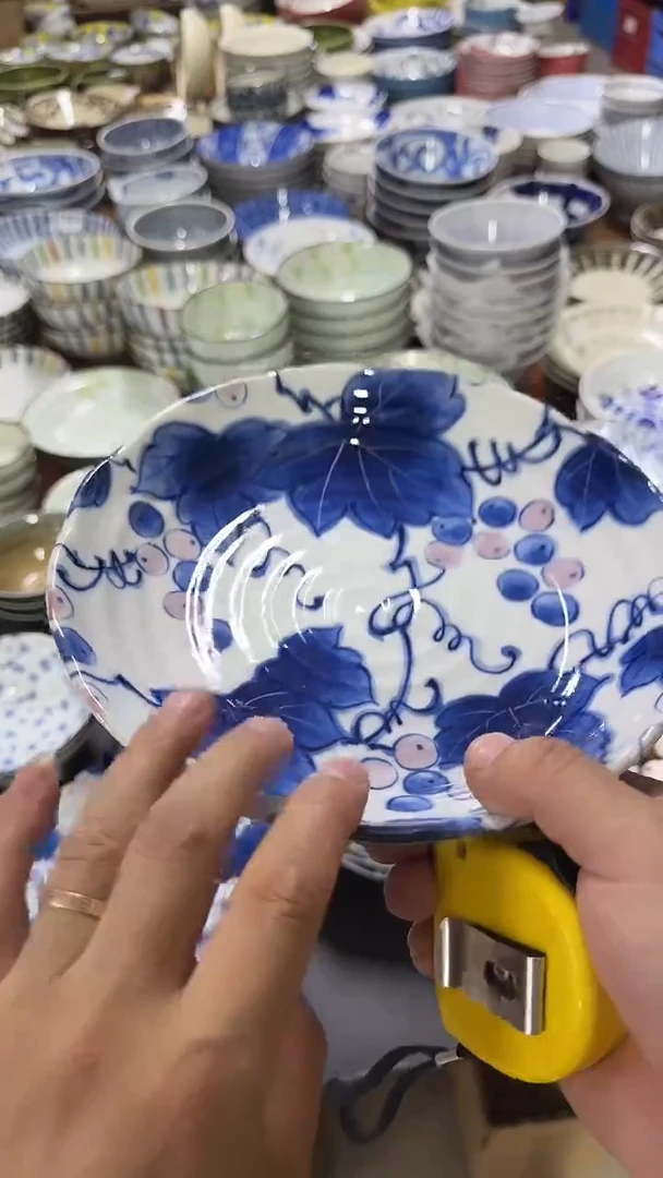 圆形日本进口陶瓷餐具 22cm深盘
