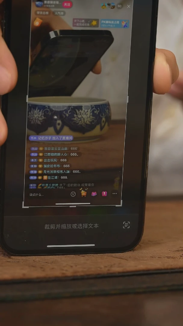 瓷片?**湖柴窑青花破价福利