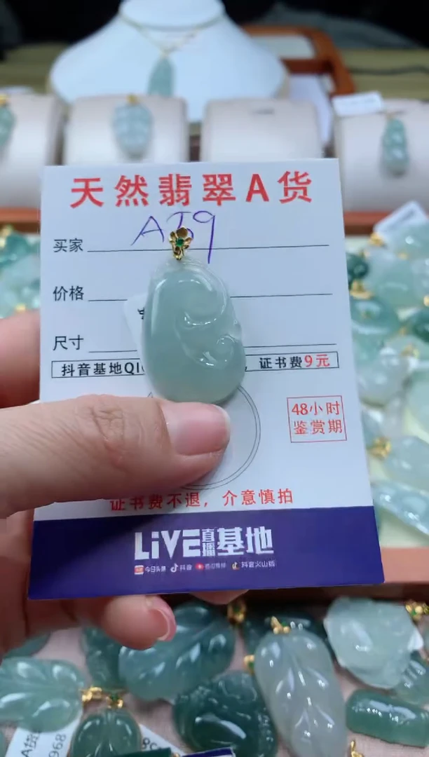 【闪购商品】翡翠颈饰未镶嵌天然A货翡翠挂件