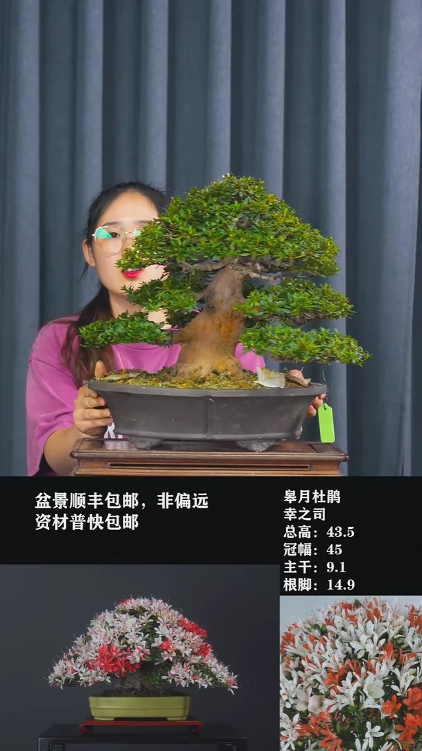 无花朵感*幸之司-G2720