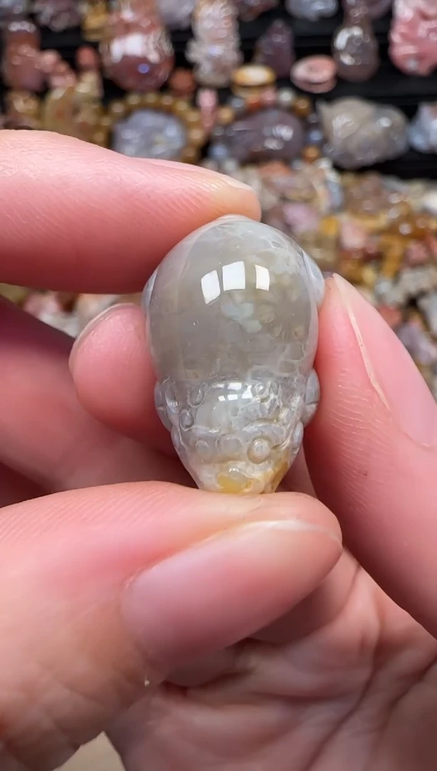 颈饰未镶嵌硅化珊瑚（珊瑚玉）773