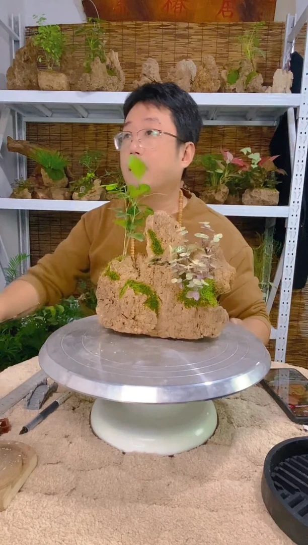 无花朵假山55555555