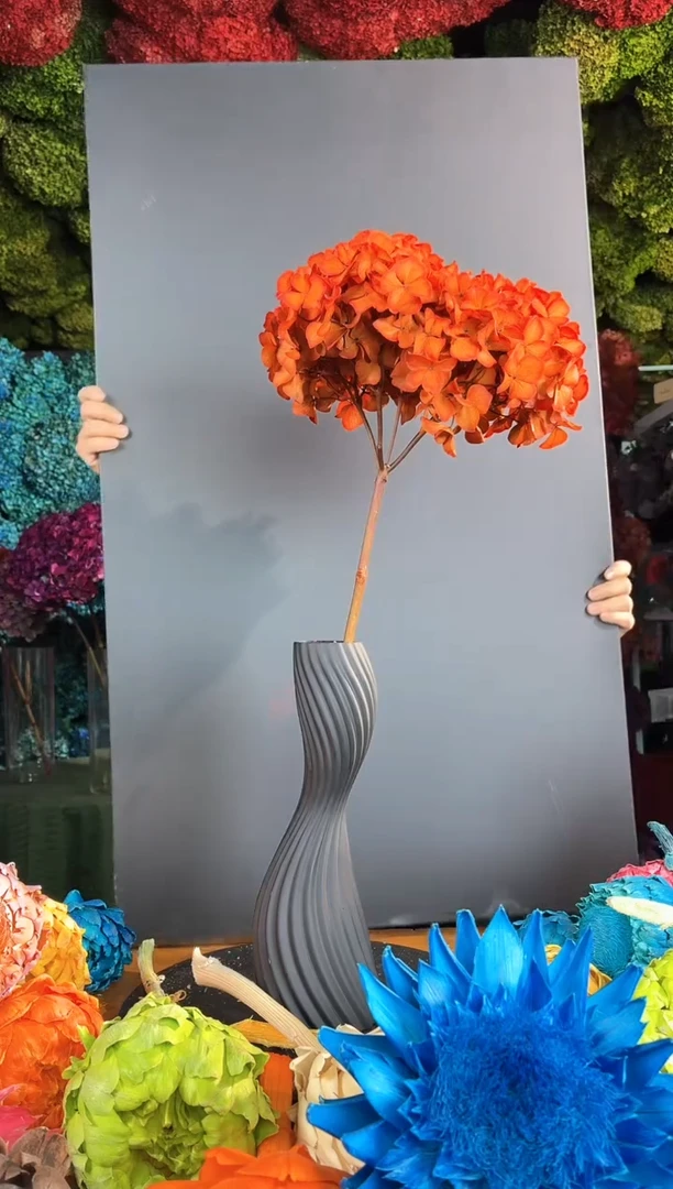 70 橙色永生大叶绣球1枝