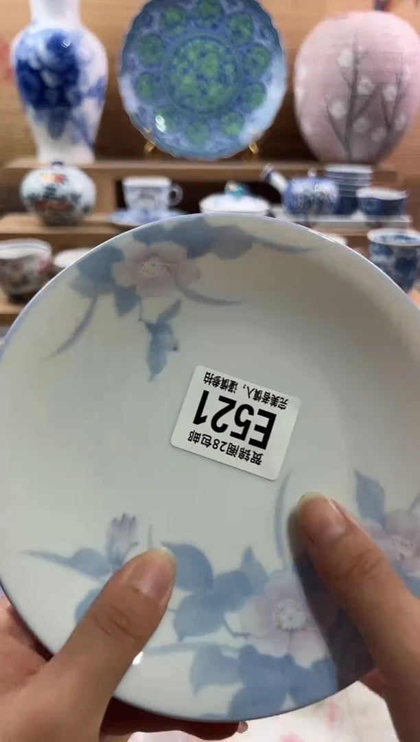 瓷片          E521