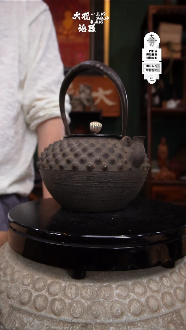 瓷片大观论器铁壶